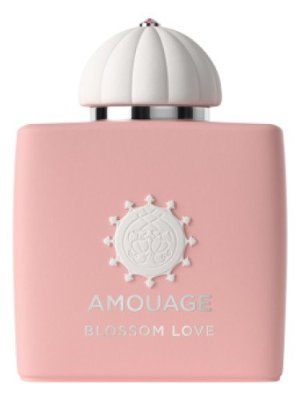 perfume Blossom Love